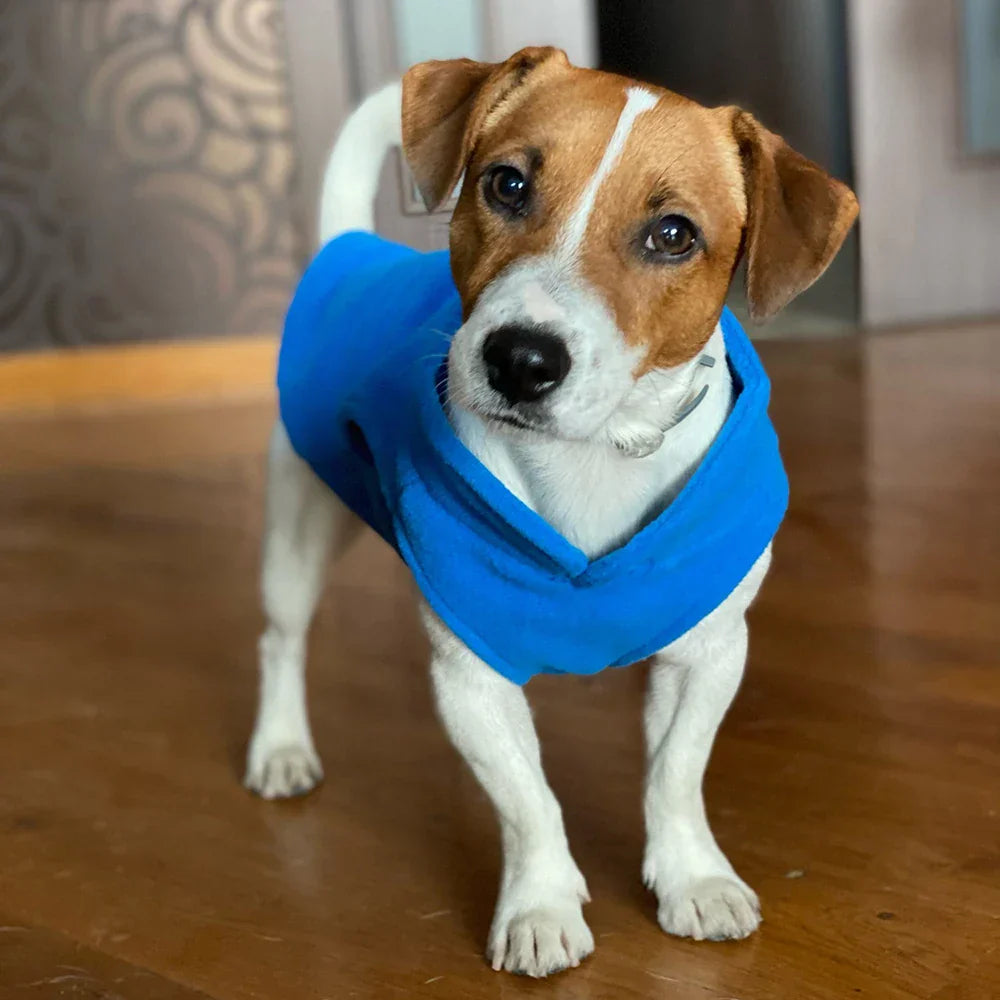 Avelena | Hundeweste Bequem und Leichtgewicht