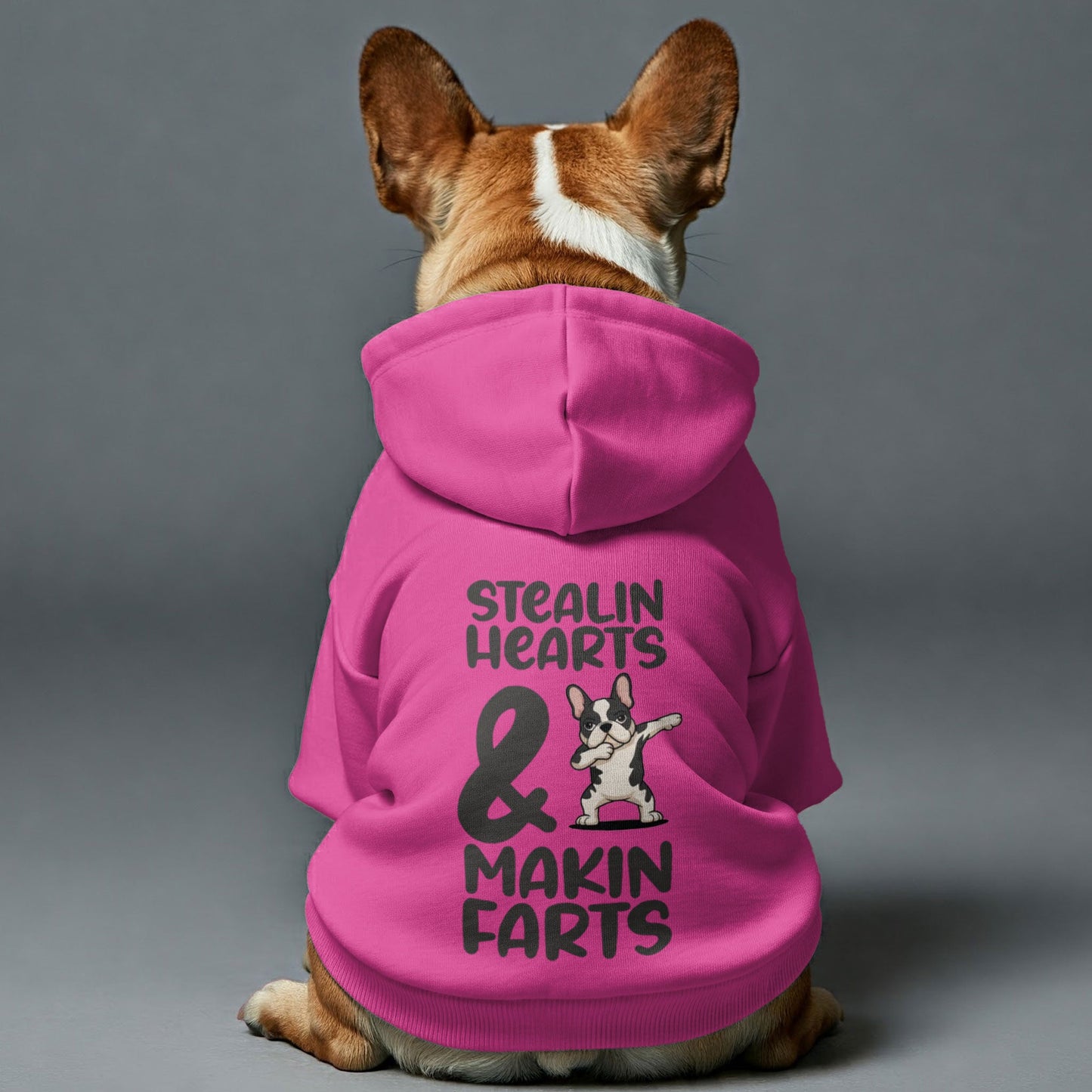 Avelena | Makin Farts Personalisierte French Bulldog Hoodies Mit Lustigen Sprüchen – Stylisch, Gemütlich Und Premium 100% Baumwolle