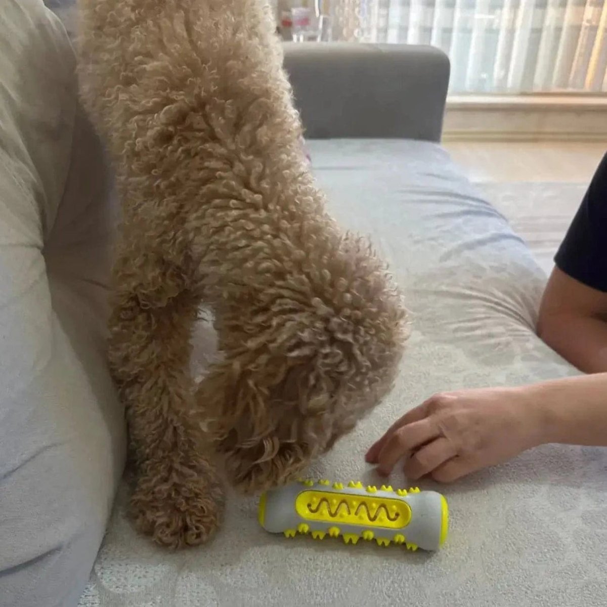 Avelena | Duftendes Hundespielzeug mit sanfter Kräuterinfusion