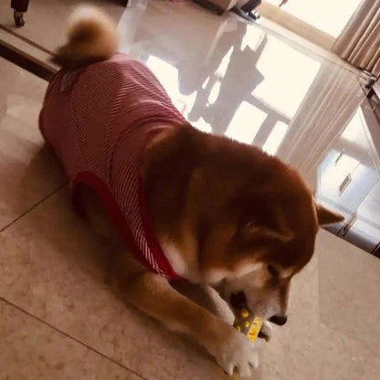 Avelena | Duftendes Hundespielzeug mit sanfter Kräuterinfusion