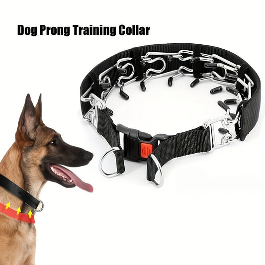 Avelena | WalkControl | Hundehalsband für das Leinefreie Spazierengehen mit Schnellverschluss
