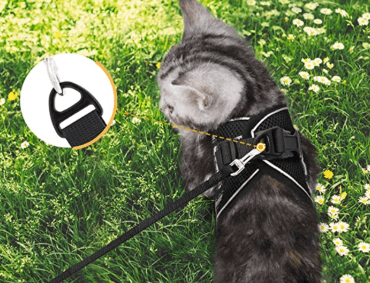 Avelena | Ausbruchssicheres Katzengeschirr mit Leine