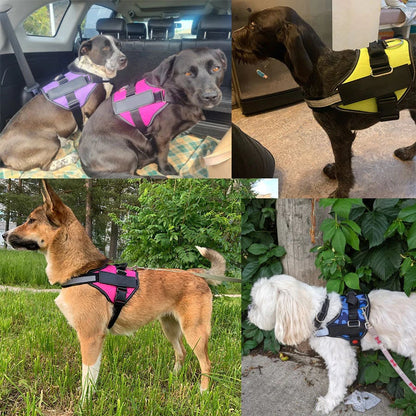 Avelena | Anti-Würgen Hundegeschirr