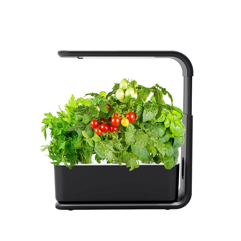 Avelena | Slim Hydroponisches Pflanzensystem für Innen Greenbloom Hydro
