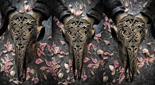 Avelena | Ausgehöhlter Widderkopf