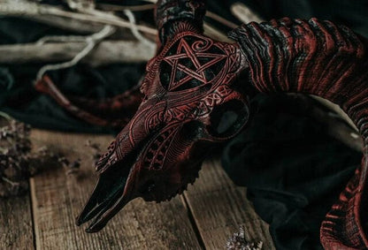 Avelena | Ausgehöhlter Widderkopf