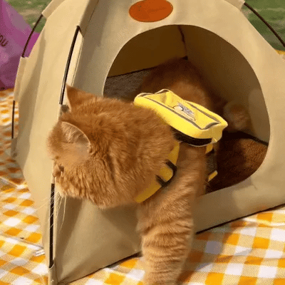 Avelena | Kühlende Katzenzelt Coolcat Retreat