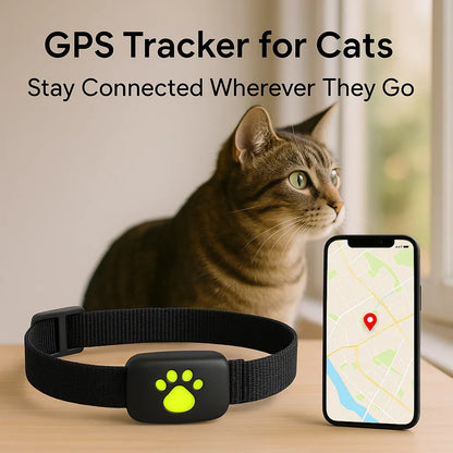 Avelena | #1 Finde GPS Katzen Tracker mit Echtzeit-Standort, wasserdichtem Design und Aktivitätsüberwachung für Sicherheit und Tracking von Haustieren