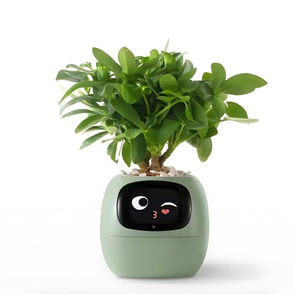 Avelena | Automatischer smarter Blumentopf - GreenBuddy SmartPot