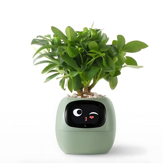 Avelena | Automatischer smarter Blumentopf - GreenBuddy SmartPot