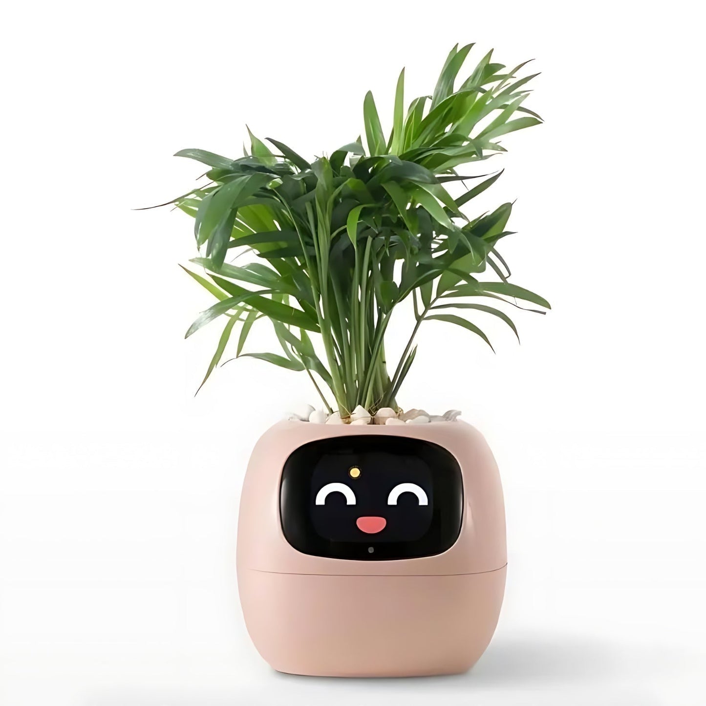 Avelena | Automatischer smarter Blumentopf - GreenBuddy SmartPot