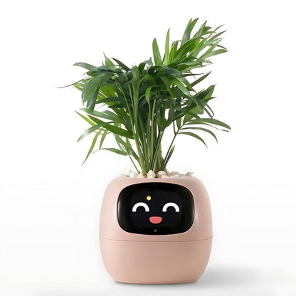 Avelena | Automatischer smarter Blumentopf - GreenBuddy SmartPot