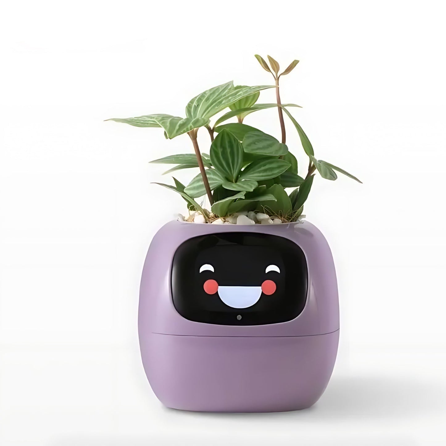 Avelena | Automatischer smarter Blumentopf - GreenBuddy SmartPot