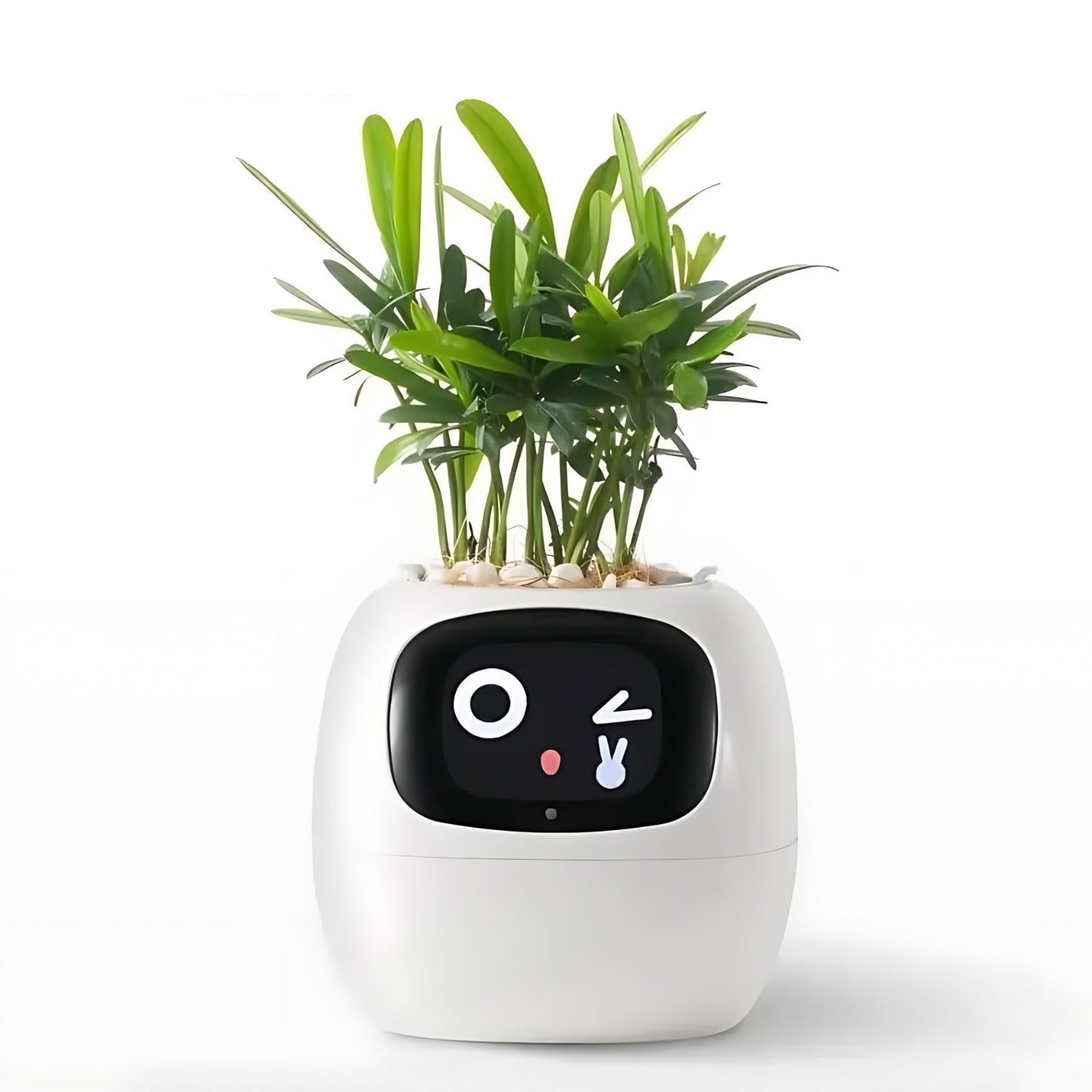 Avelena | Automatischer smarter Blumentopf - GreenBuddy SmartPot