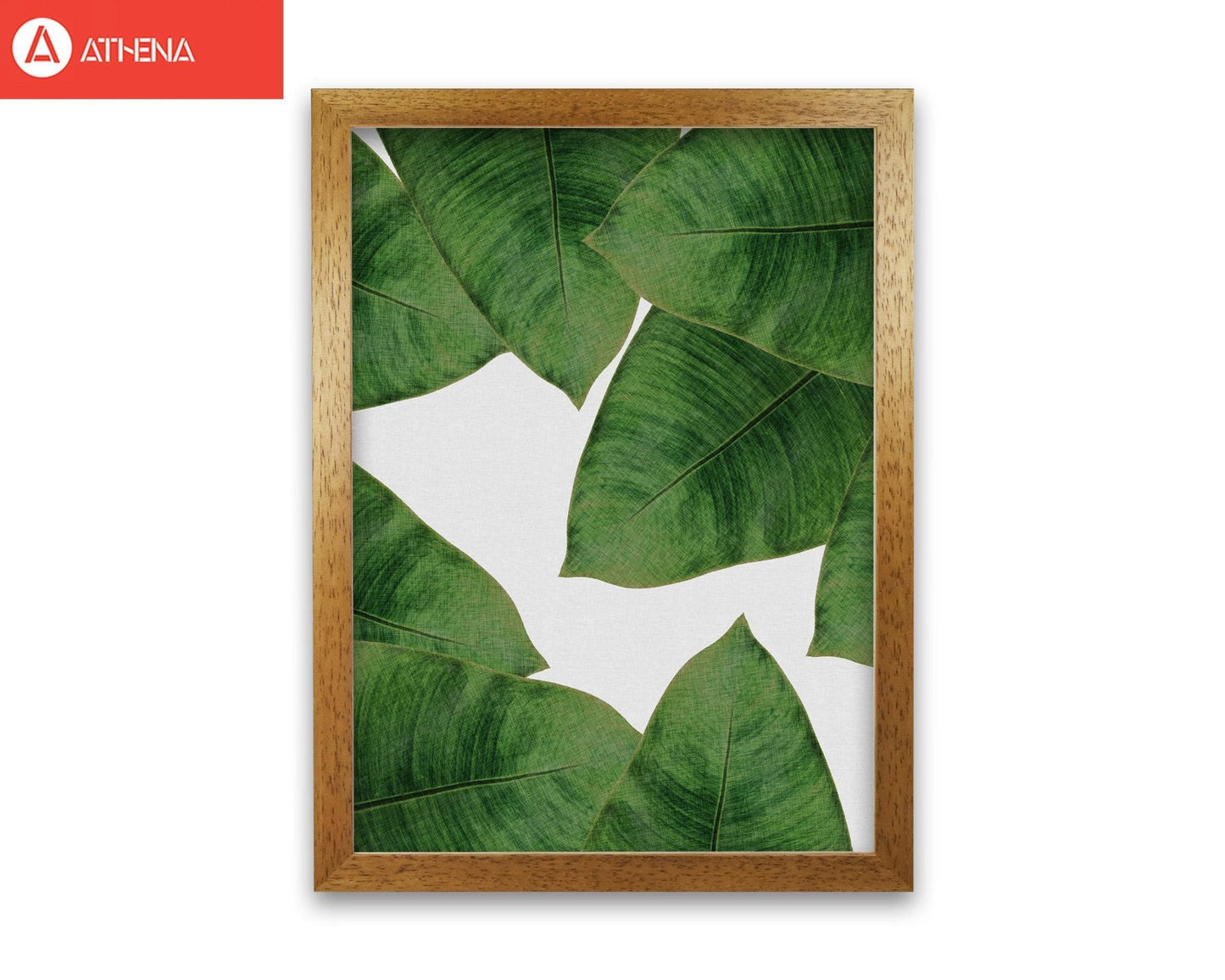 Avelena | Banana Leaf II Print von Orara Studio, gerahmter botanischer und Naturkunstdruck