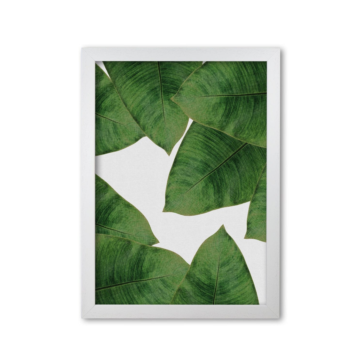 Avelena | Banana Leaf II Print von Orara Studio, gerahmter botanischer und Naturkunstdruck