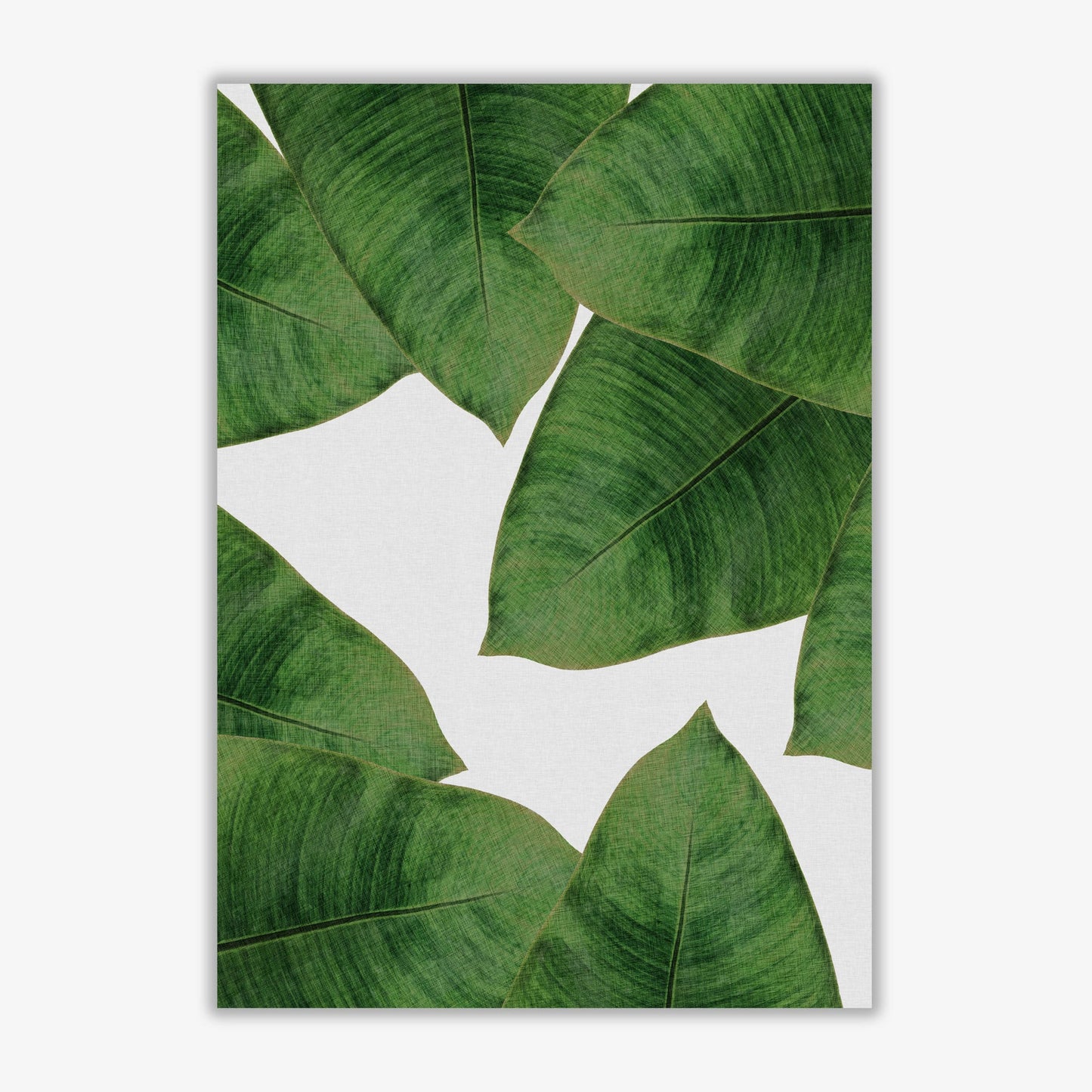 Avelena | Banana Leaf II Print von Orara Studio, gerahmter botanischer und Naturkunstdruck