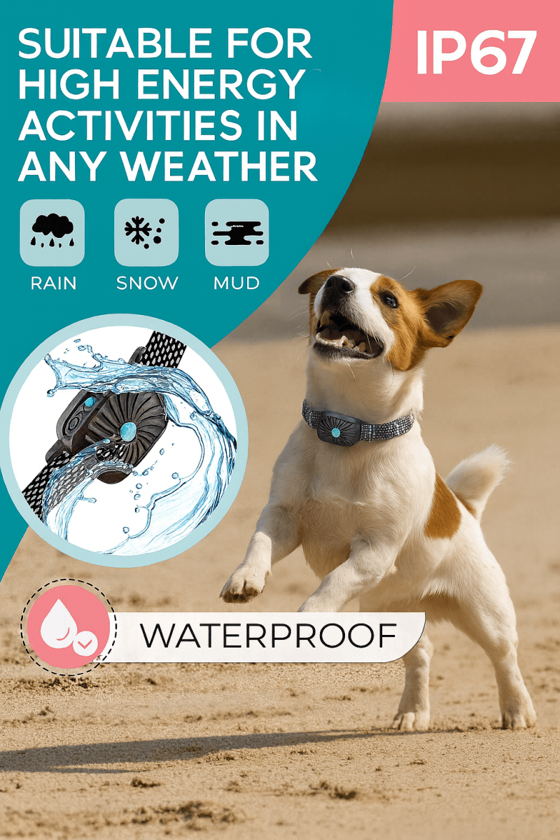 Avelena | BarkLess Nano – Sanfter Anti-Bellhalsband für Welpen & kleine Hunde