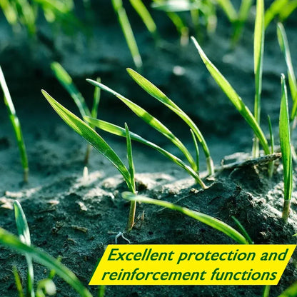 Avelena | Biologisch abbaubare Netzrasensaatmatte | All-in-One-Wachstumssystem für schnelle Keimung in Sonne, Schatten und Nähten