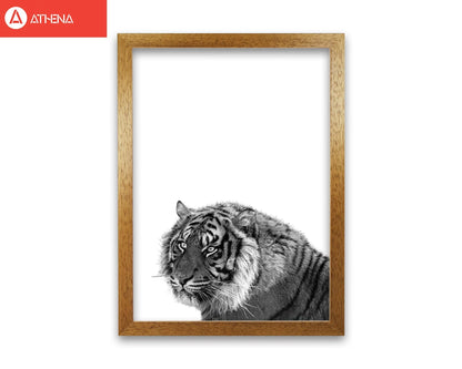 Avelena | Schwarz und Weiß Tiger Moderne Druck Tier Kunstdruck