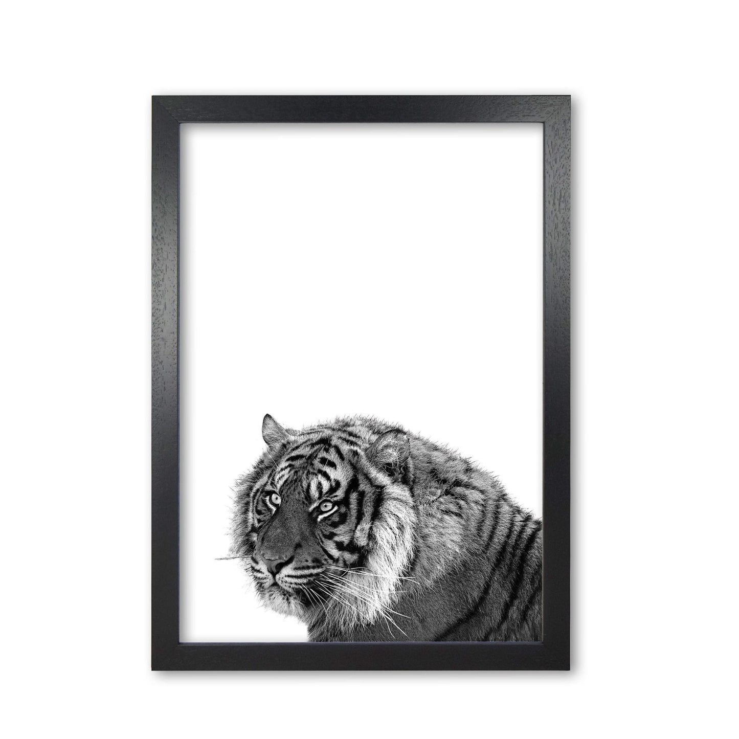 Avelena | Schwarz und Weiß Tiger Moderne Druck Tier Kunstdruck