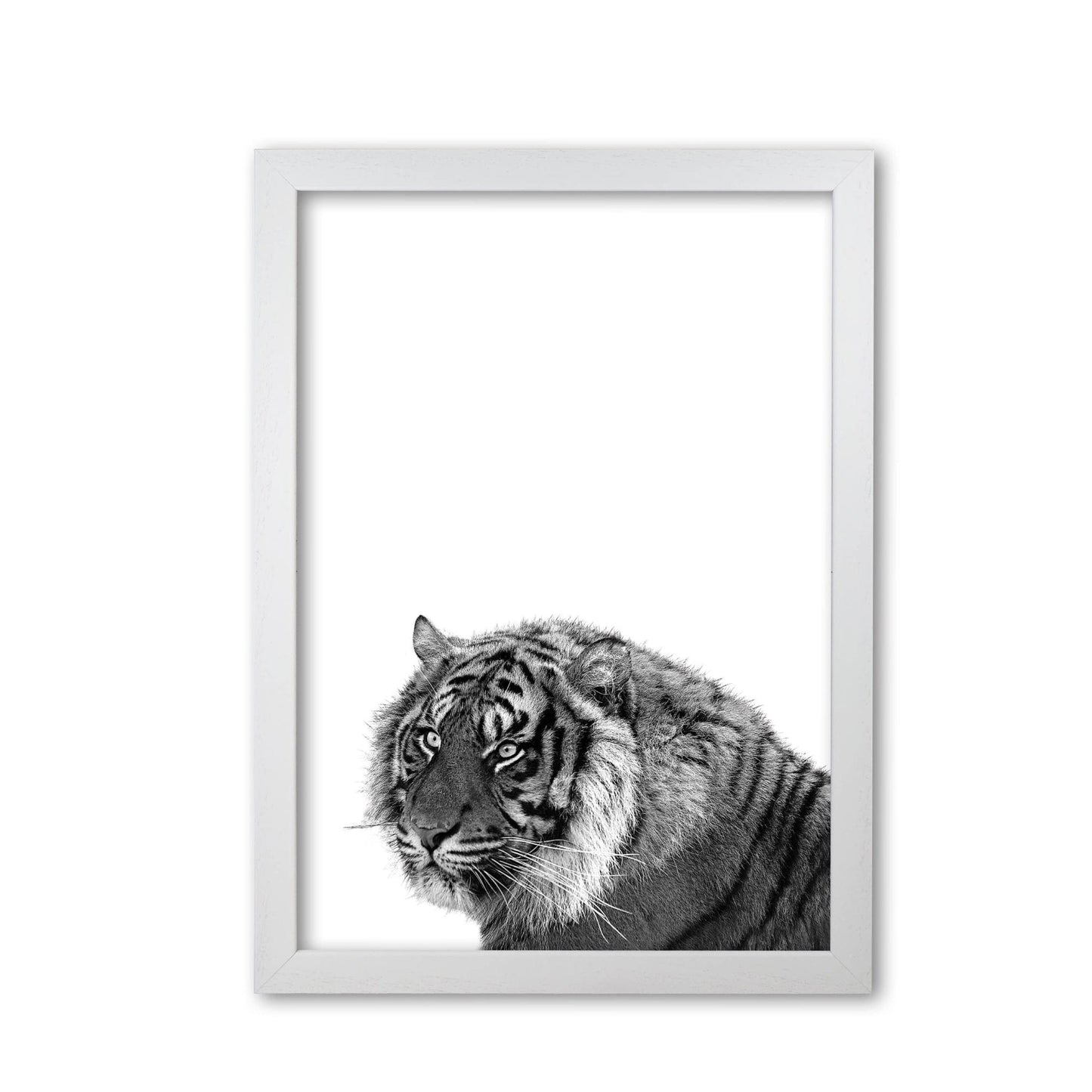 Avelena | Schwarz und Weiß Tiger Moderne Druck Tier Kunstdruck