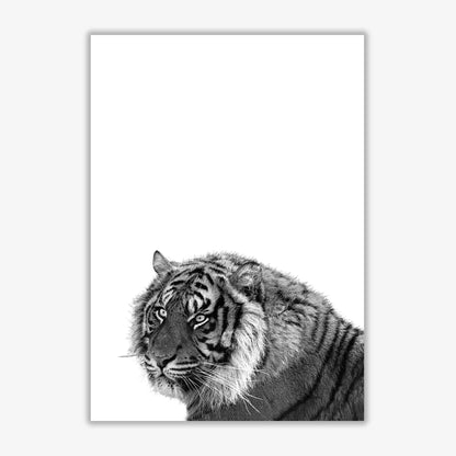 Avelena | Schwarz und Weiß Tiger Moderne Druck Tier Kunstdruck