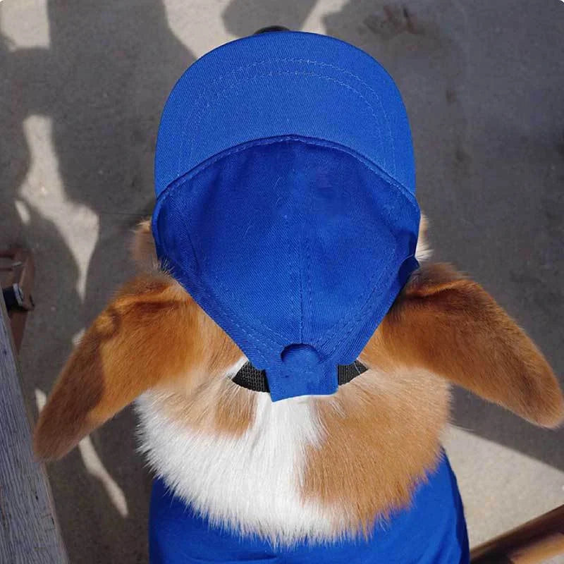 Avelena | Verstellbare Hundesonnenmütze - Süße Baseballkappe für den Sommer mit Ohrenöffnung