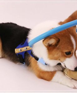 Avelena | Blindenhund Bumper Collar Geschirr