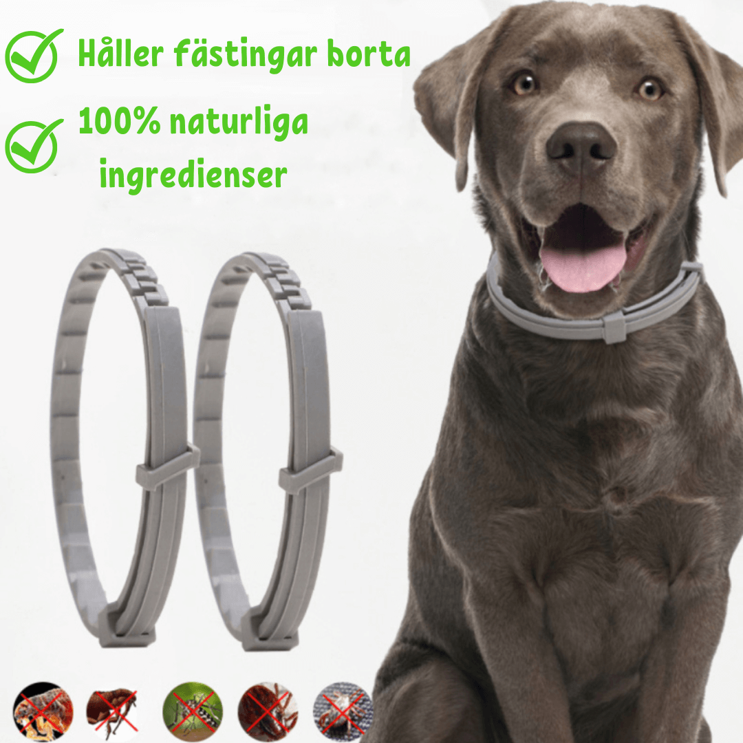 Avelena | Floh- und Zeckenhalsband für Hunde & Katzen