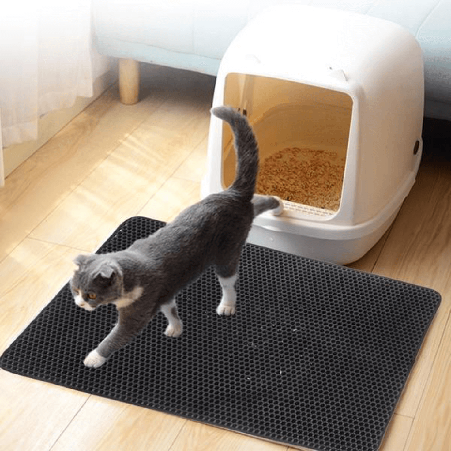 Avelena | Matt Effektive Lösung Gegen Katzenstreu
