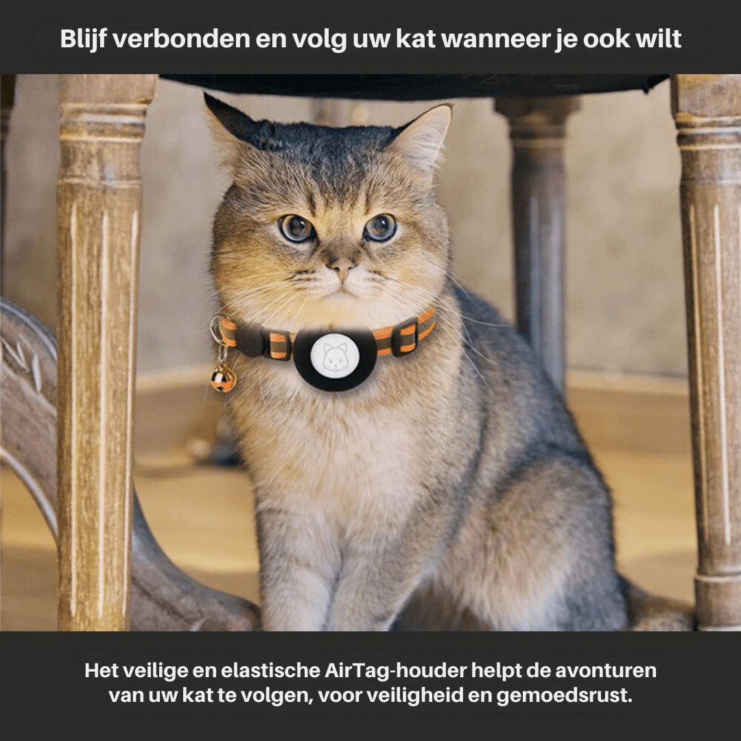 Avelena | CATSAFE TRACK – GPS-Tracker-Halsband für Sicherheit und Sichtbarkeit bei Katzen