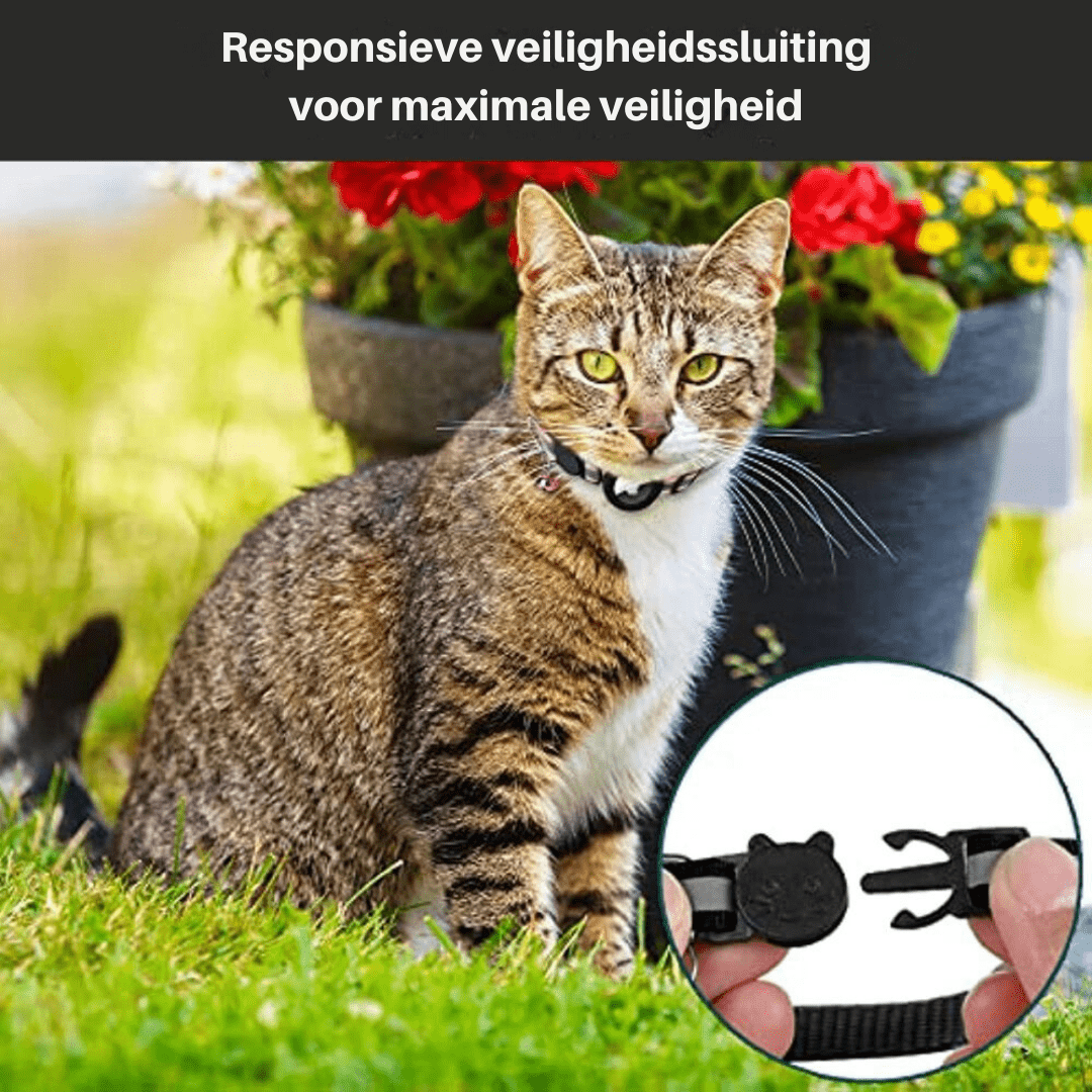 Avelena | CATSAFE TRACK – GPS-Tracker-Halsband für Sicherheit und Sichtbarkeit bei Katzen