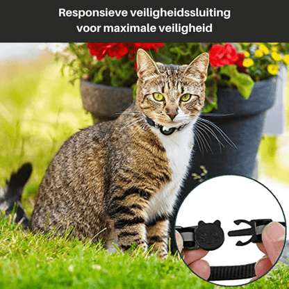 Avelena | CATSAFE TRACK – GPS-Tracker-Halsband für Sicherheit und Sichtbarkeit bei Katzen