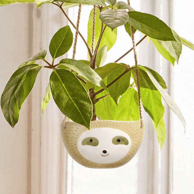 Avelena | Keramische Faultier hängende Pflanzen Töpfe
