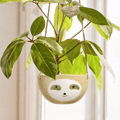 Avelena | Keramische Faultier hängende Pflanzen Töpfe