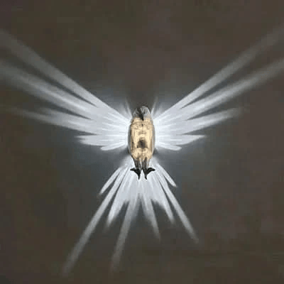 Avelena | 3D Tier Led Wandleuchte | Seeadler & Nachtkauz