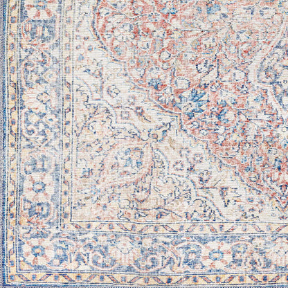 Avelena | Gebrauchte Rote und Blaue Waschbare Teppich