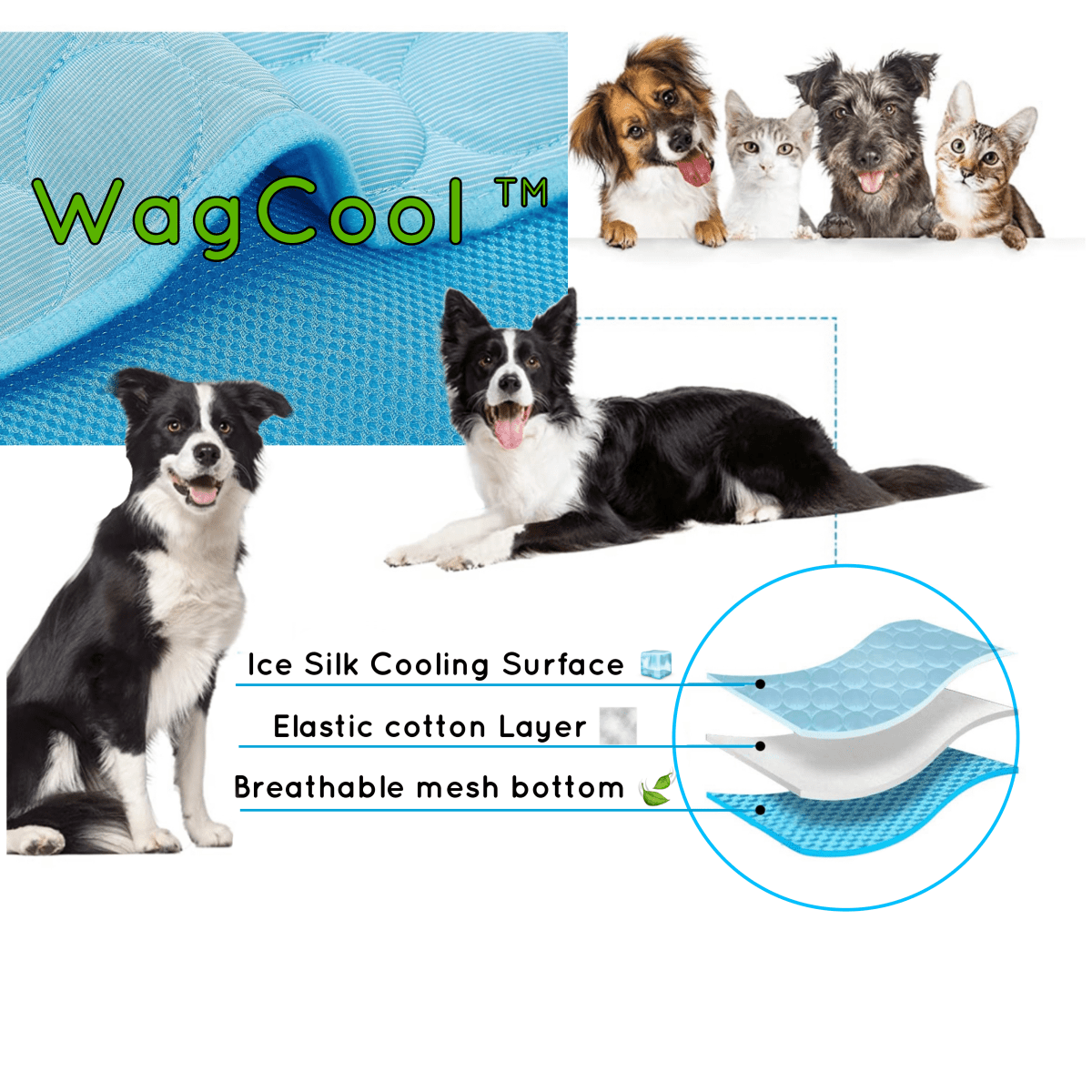 Avelena | COOLPET MAT – Druckaktivierte kühlende Hundematte für sofortigen Komfort