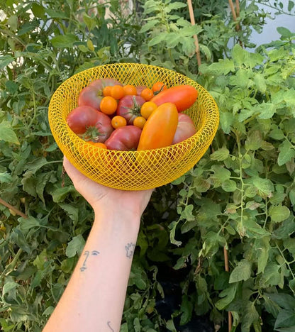 Avelena | Stahl-Mesh-Obstkorb mit Belüftung für frische Lagerung