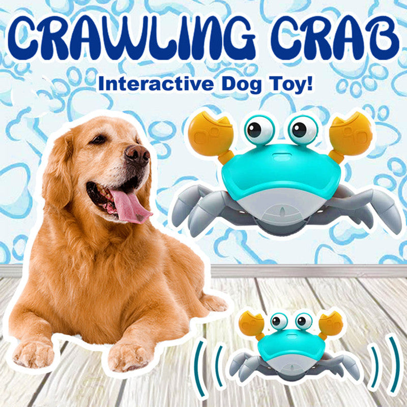 Avelena | Krabben Spielzeug 🦀