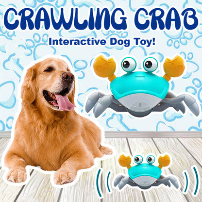 Avelena | Krabben Spielzeug 🦀