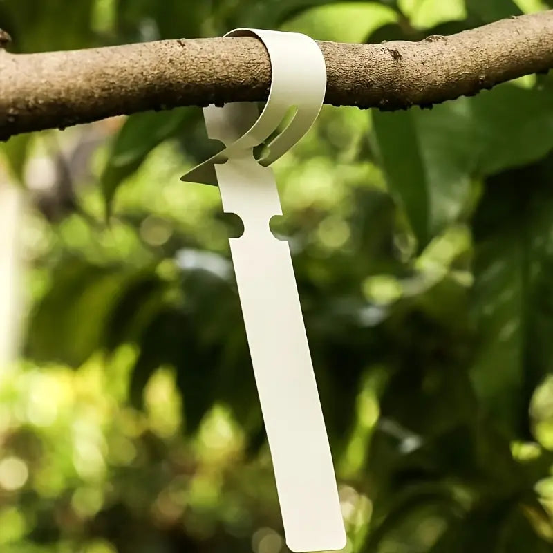 Avelena | Wiederverwendbare Pflanzenetiketten aus Kunststoff für Garten und Baummarkierung