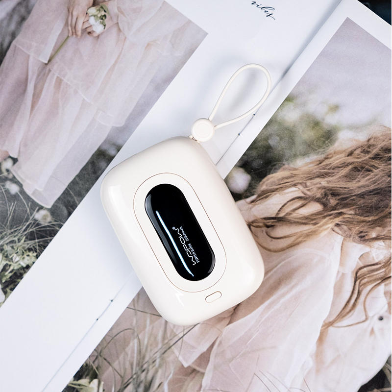 Avelena | 10000mAh Eingebaute Dual-Kabel Powerbank