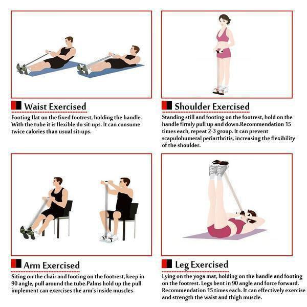 Avelena | Sit-Up Trainingsgerät