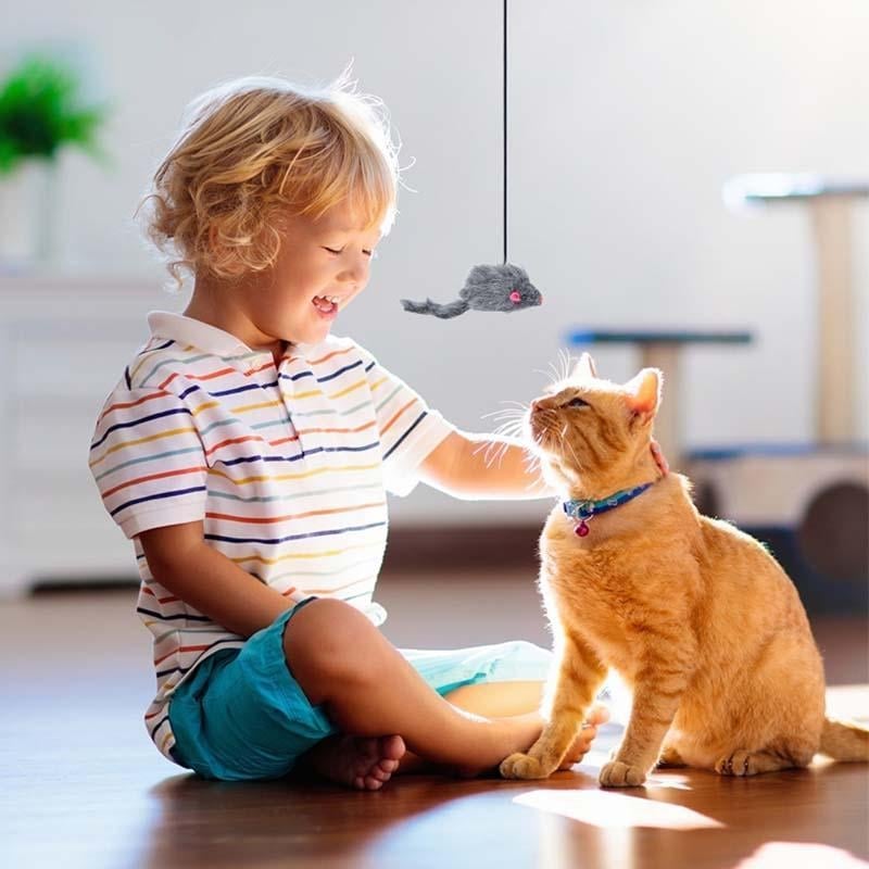 Avelena | Hängendes Tür Federnde Maus Katzenspielzeug