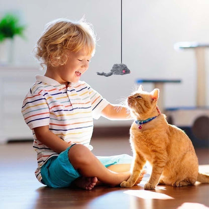 Avelena | Hängendes Tür Federnde Maus Katzenspielzeug