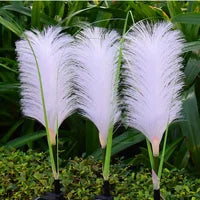 Avelena | Dekorative Weiden Gartenbeleuchtung - SunReed