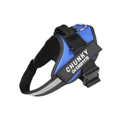 Avelena | Dogsichere Geschirr – Reflektierendes, Anti-Zieh-Geschirr für Hunde mit personalisierbarem Namensschild