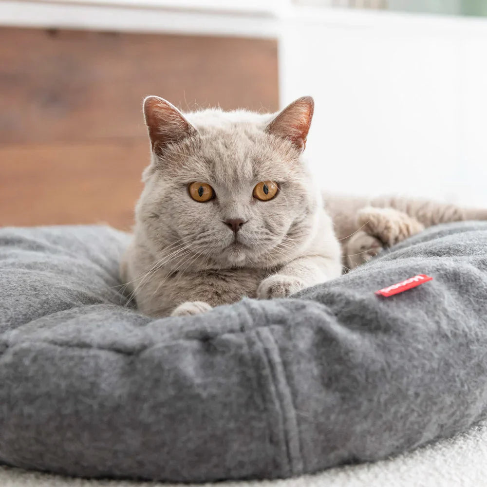Avelena | Donut Katzenbett aus Wolle Grau Blau
